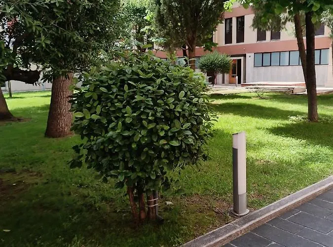 Carola Apartamento Bari